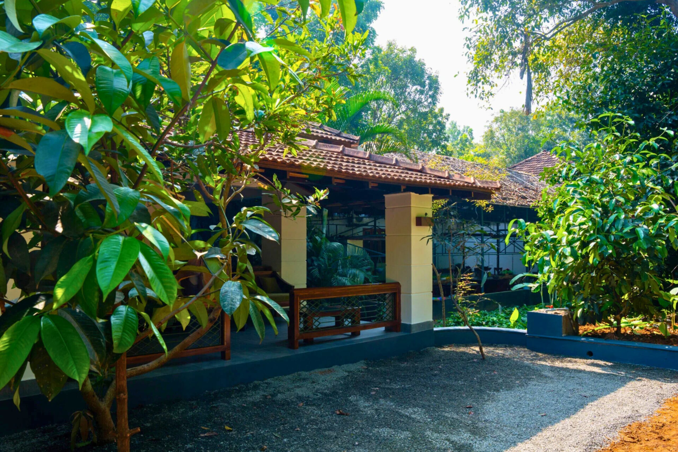 Untitled design (10)