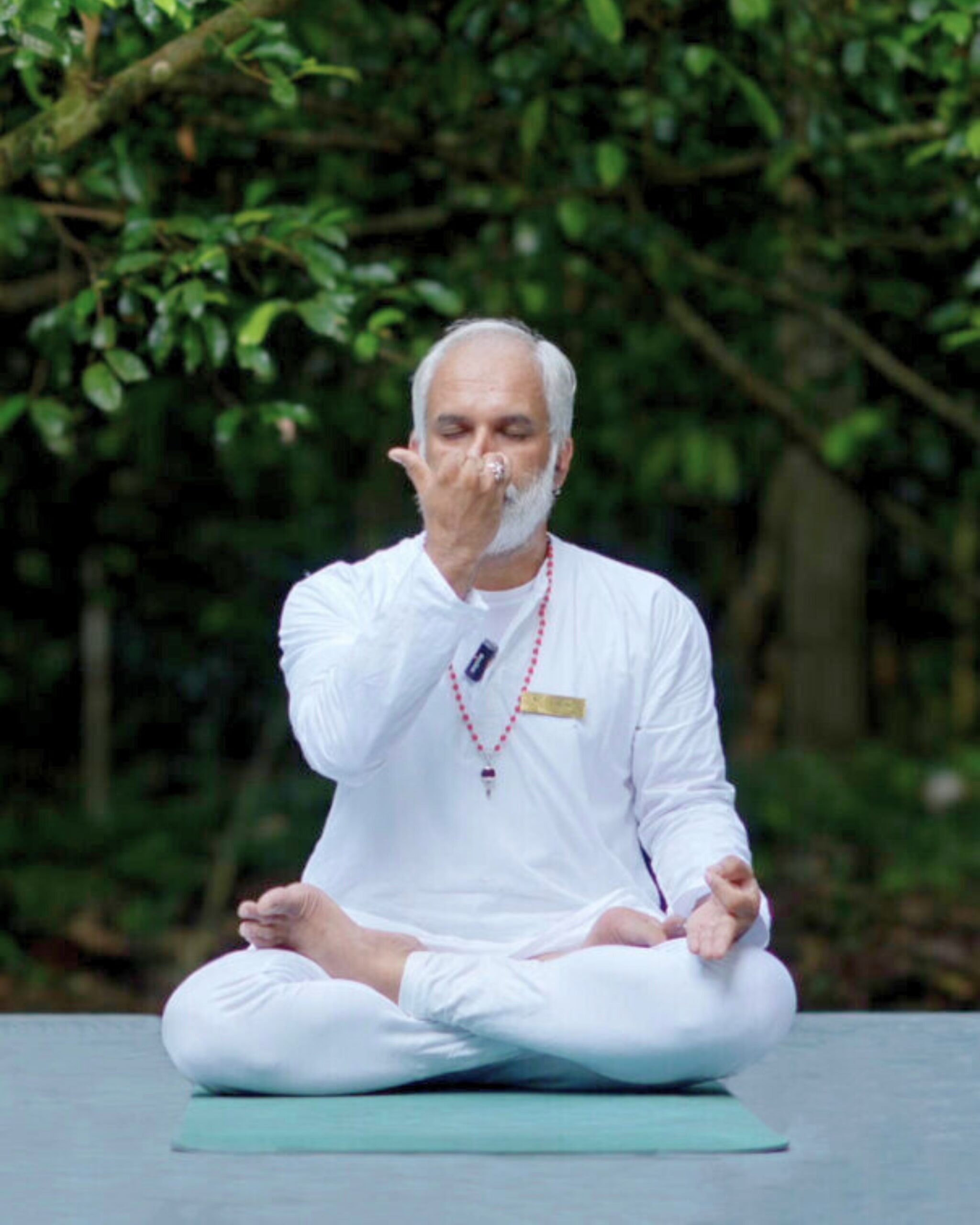 Untitled design (18)